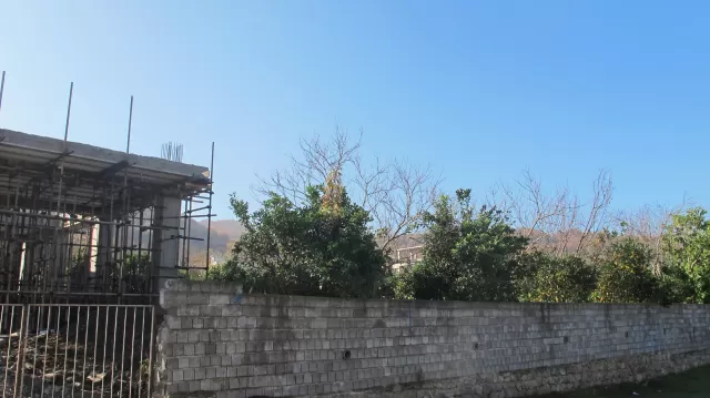 فروش زمین 260 متر در نوشهر