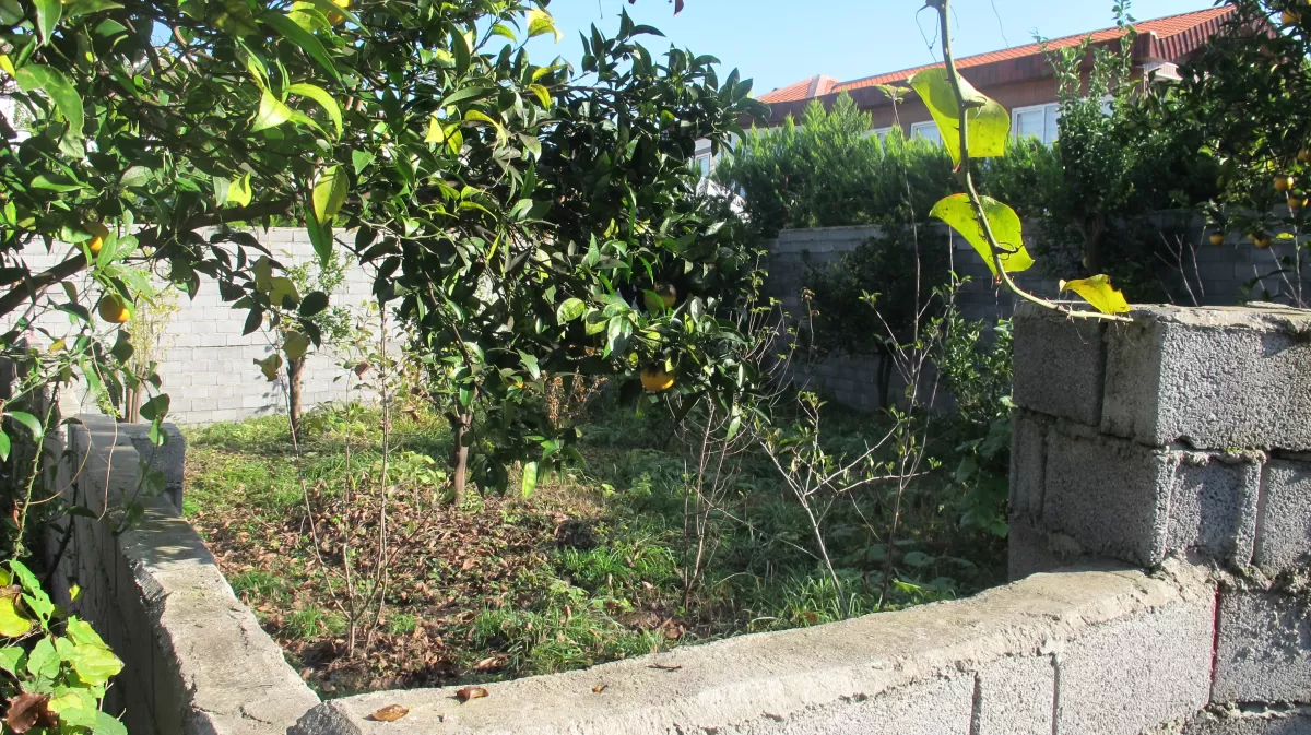 فروش زمین 200 متر در نوشهر