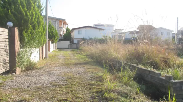 فروش زمین 270 متر در نوشهر