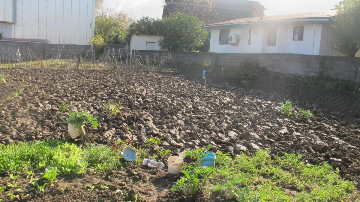 فروش زمین 300 متر در نوشهر