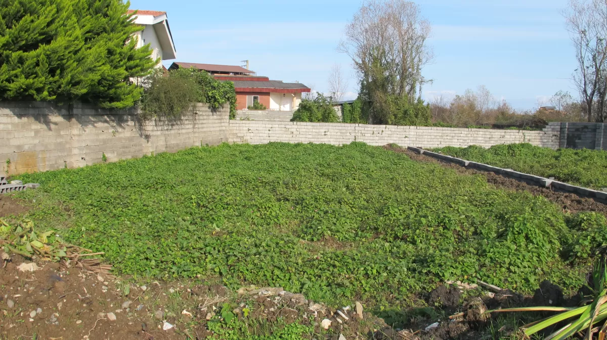 فروش زمین 470 متر در نوشهر