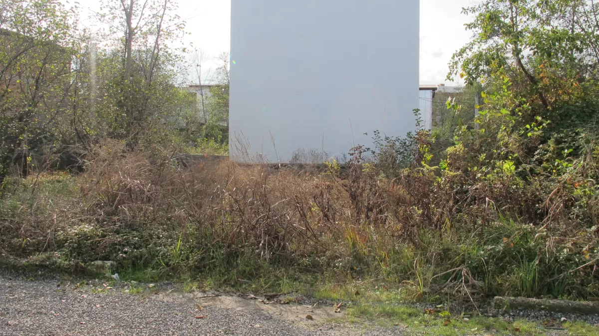 فروش زمین 260 متر در نوشهر