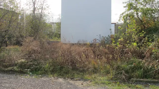 فروش زمین 260 متر در نوشهر