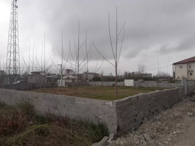 فروش زمین 1250 متر در نوشهر