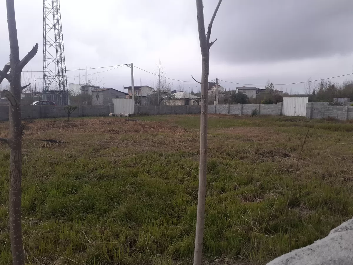 فروش زمین 1250 متر در نوشهر