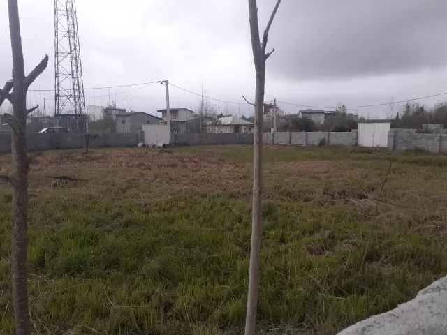 فروش زمین 1250 متر در نوشهر