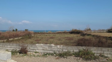 فروش زمین 4000 متر ساحلی در...