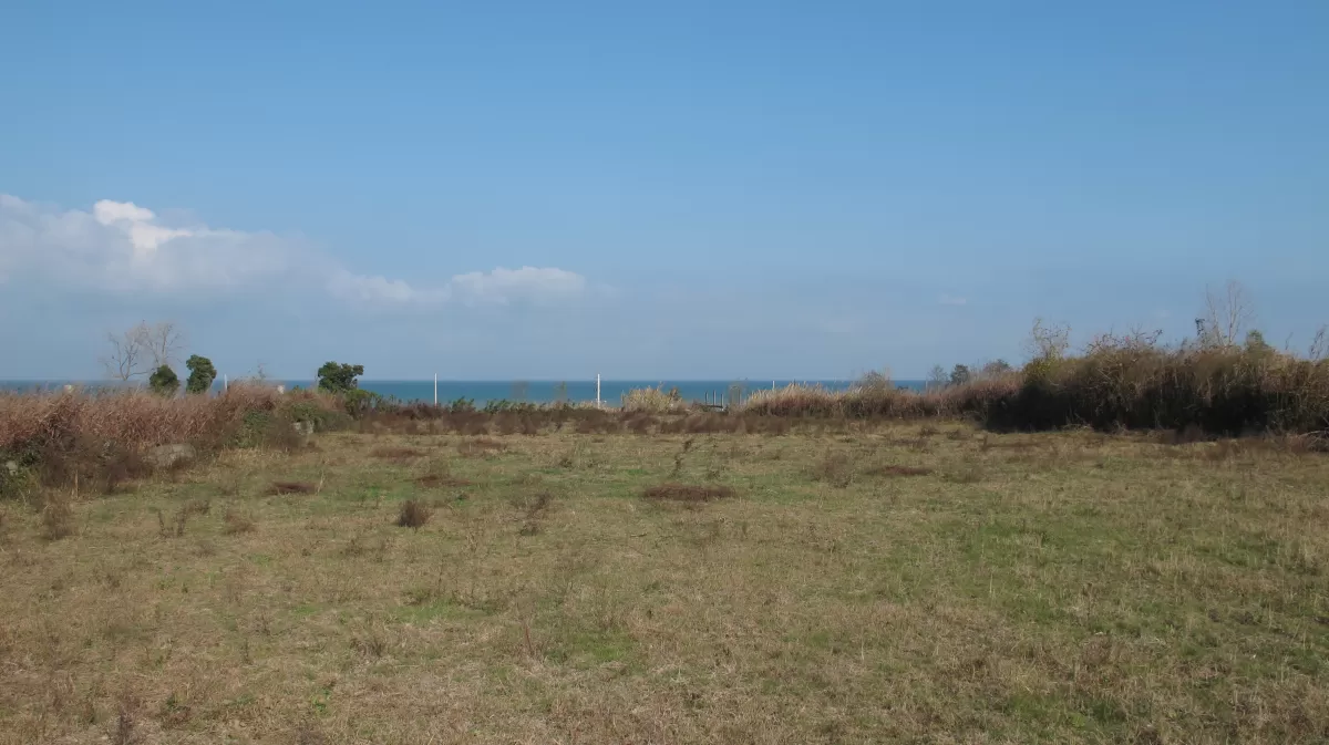 فروش زمین 4000 متر ساحلی در چالوس