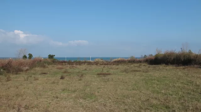 فروش زمین 4000 متر ساحلی در چالوس