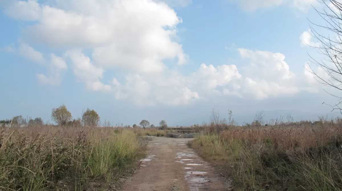 فروش 260 متر زمین در هلستان نوشهر