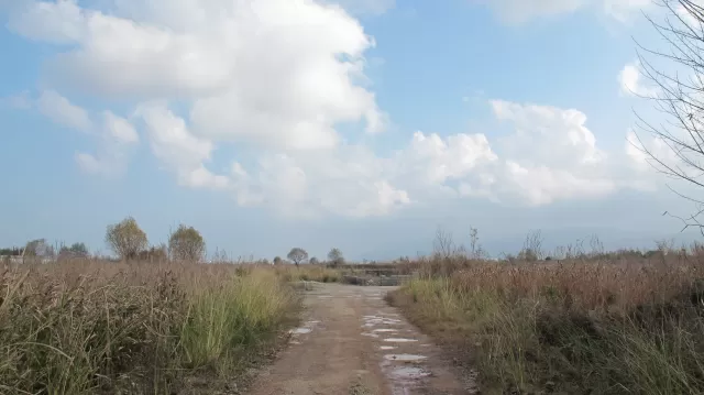 فروش 260 متر زمین در هلستان نوشهر