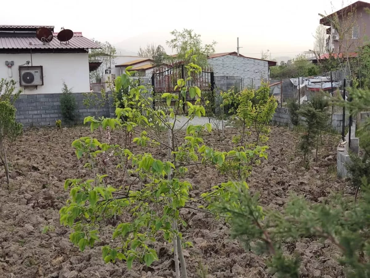 فروش زمین 311 متر در نوشهر