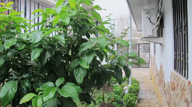 فروش ویلا 2 خوابه در نوشهر