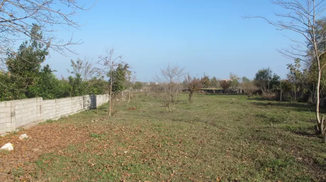 فروش زمین 5000 متر در نوشهر