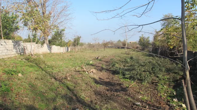 فروش زمین 5000 متر در نوشهر