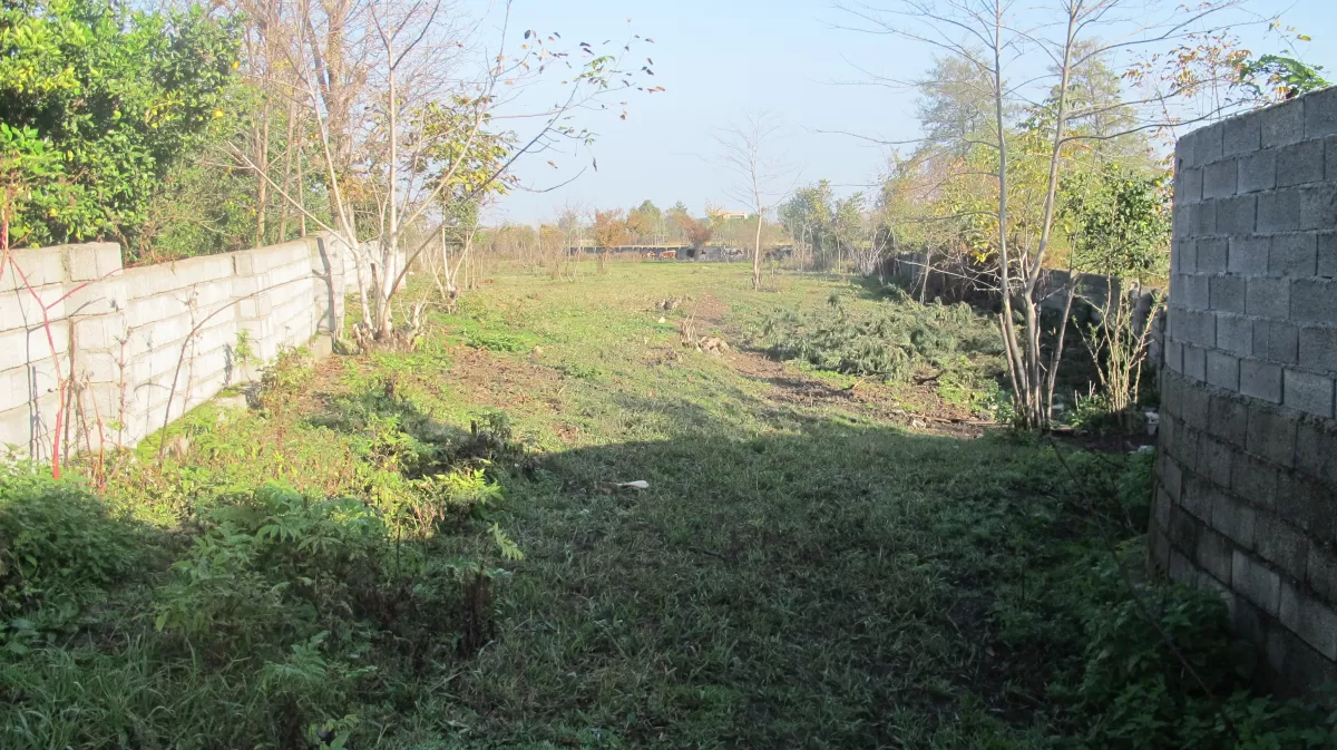 فروش زمین 5000 متر در نوشهر