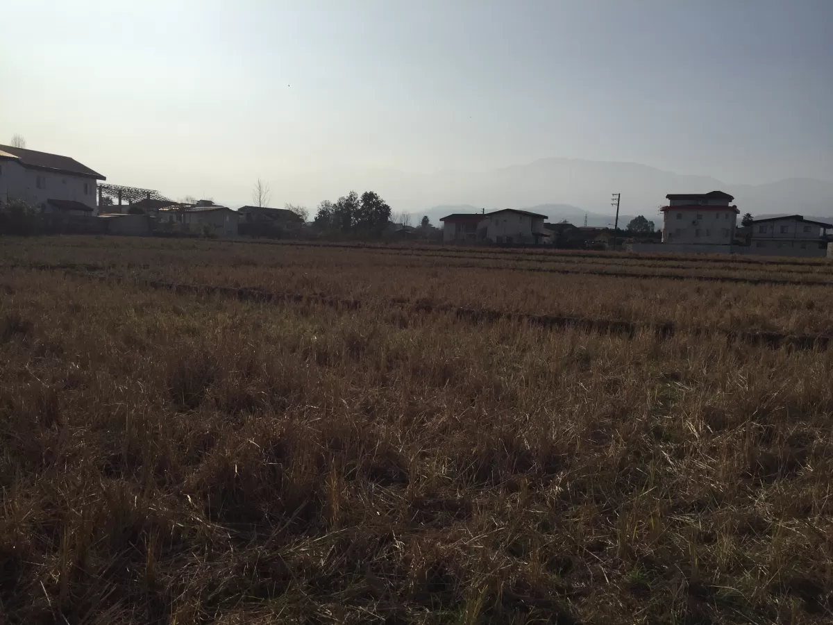 فروش 6200 متر زمین در نوشهر