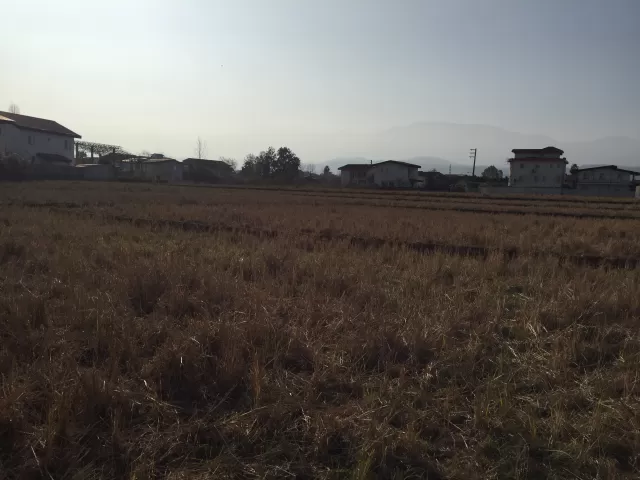 فروش 6200 متر زمین در نوشهر