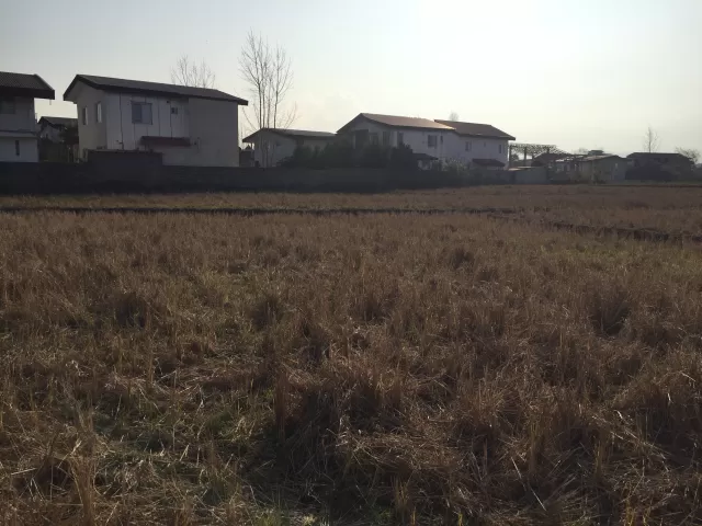 فروش 6200 متر زمین در نوشهر