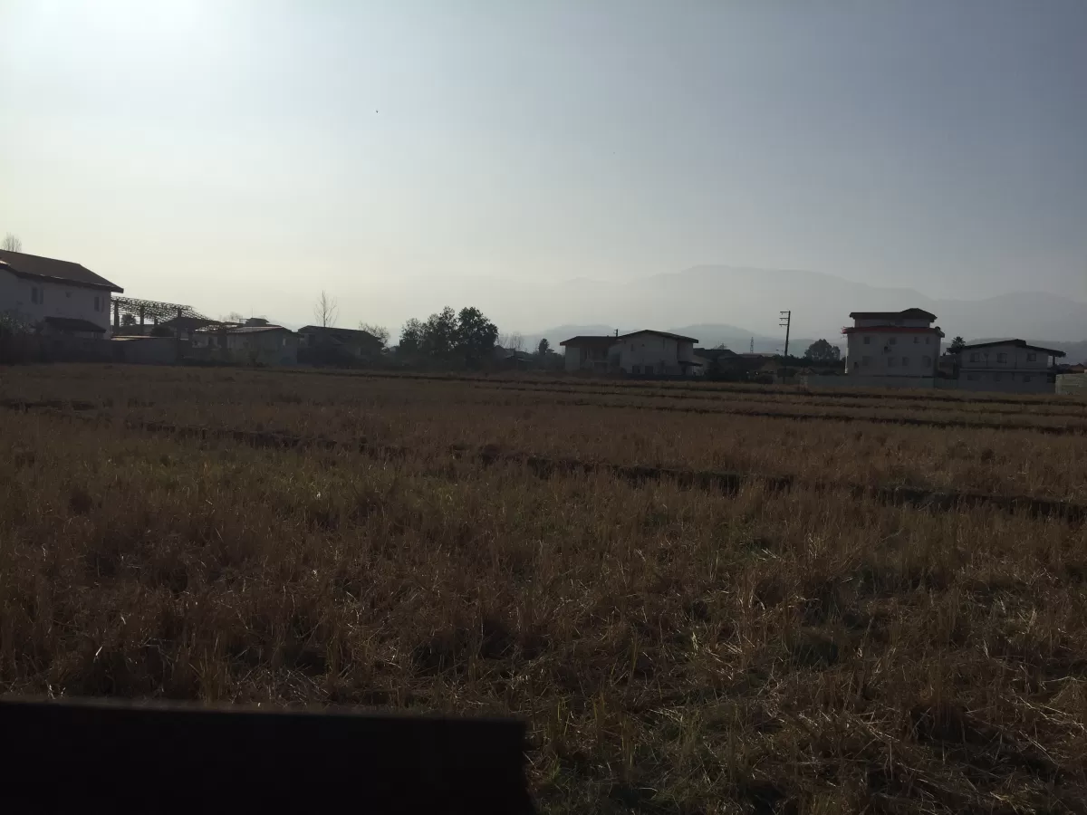 فروش 6200 متر زمین در نوشهر