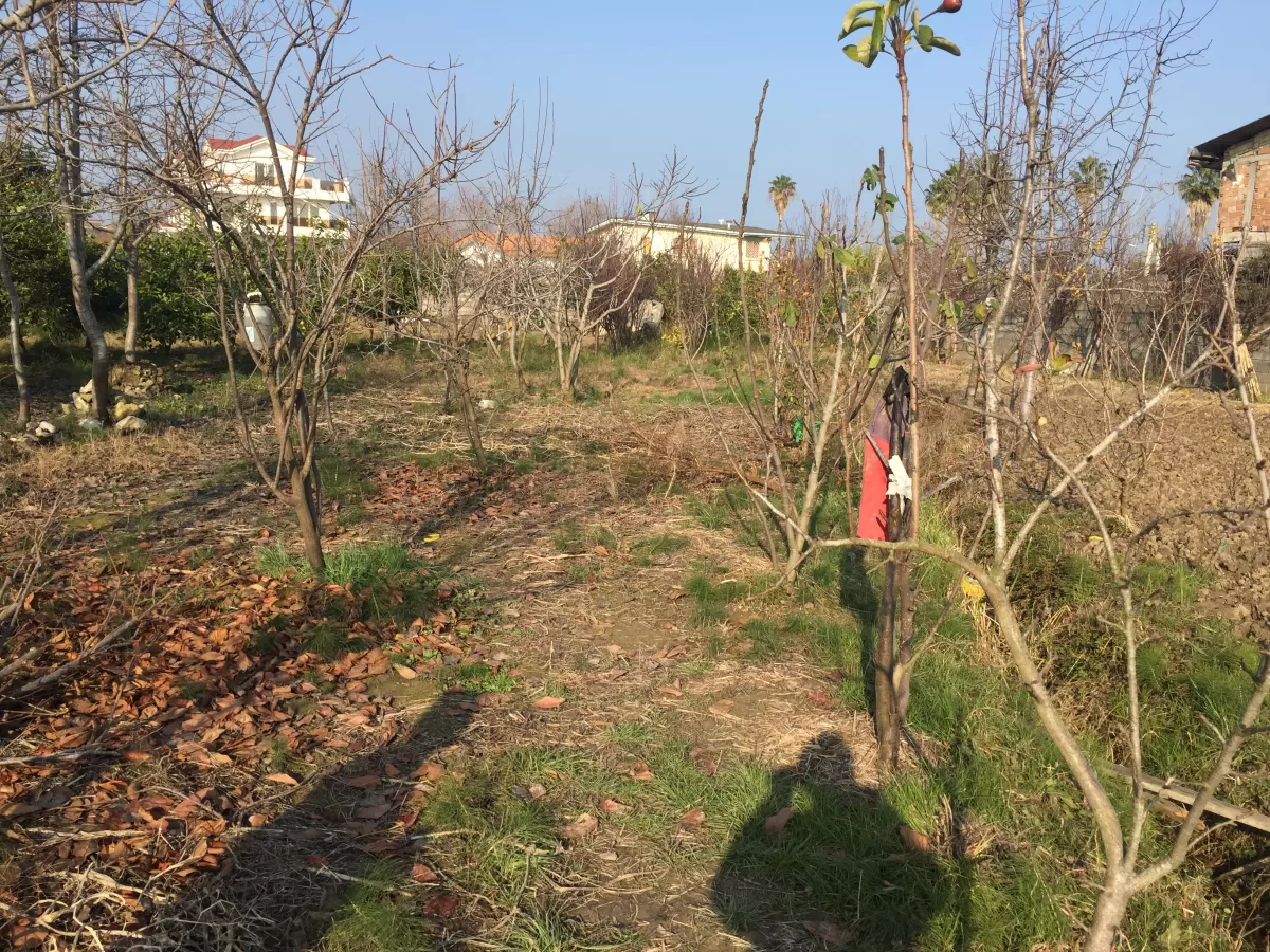 فروش زمین قطعات 250 متر در نوشهر