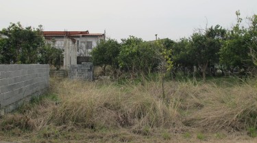 فروش 300 متر زمین در نوشهر