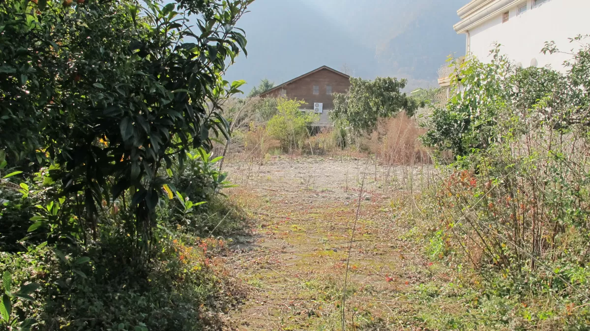 فروش 700 متر زمین در نوشهر