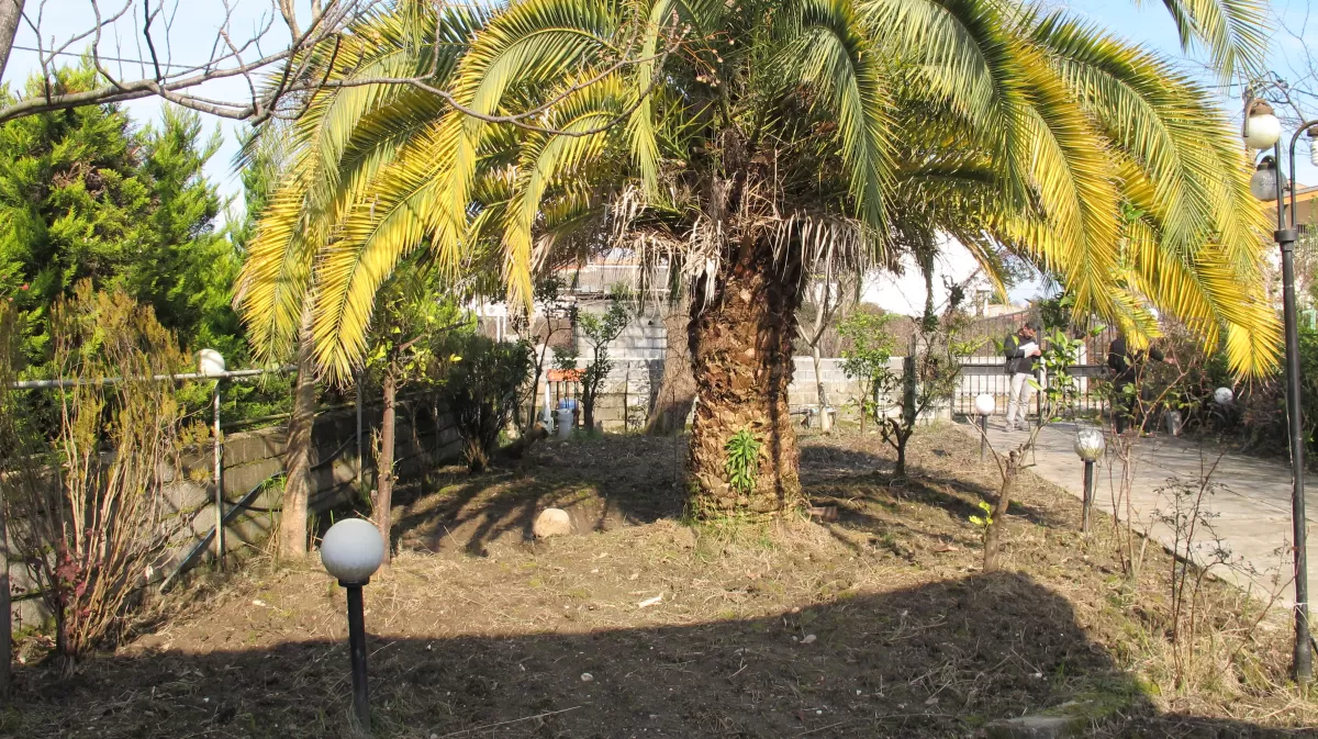 فروش خونه باغ 400 متر در نوشهر