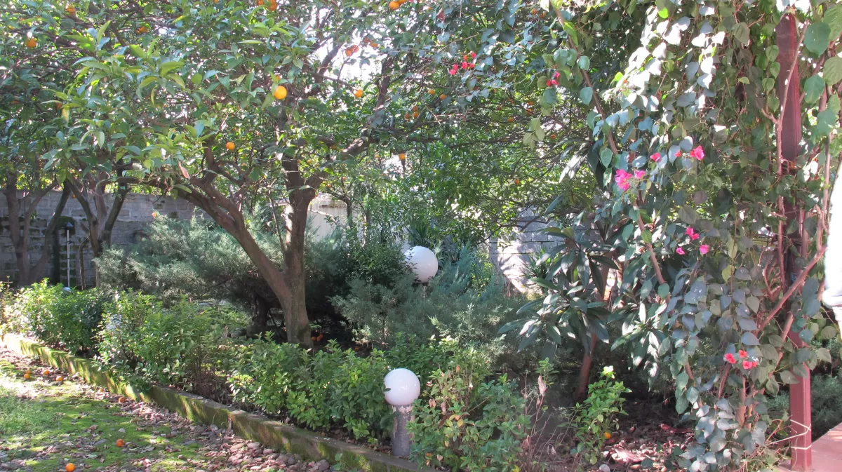 فروش 350 متر باغ ویلا 2 خوابه زیربنا 90 متر در شریعت آباد نوشهر