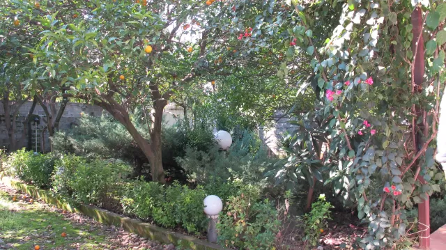 فروش 350 متر باغ ویلا 2 خوابه زیربنا 90 متر در شریعت آباد نوشهر