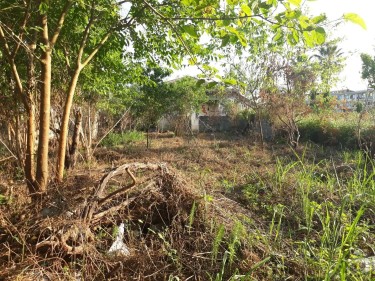 فروش 510 متر زمین در...