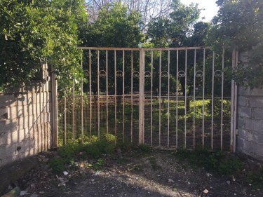 فروش 250 متر زمین در علی...