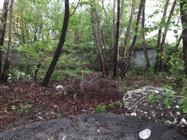 فروش 246 متر زمین در بلوار...