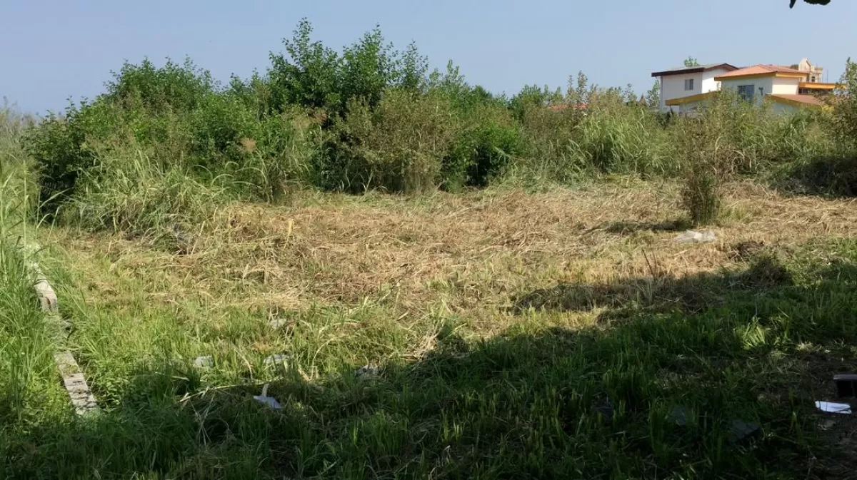 فروش 3000 متر زمین در نوشهر