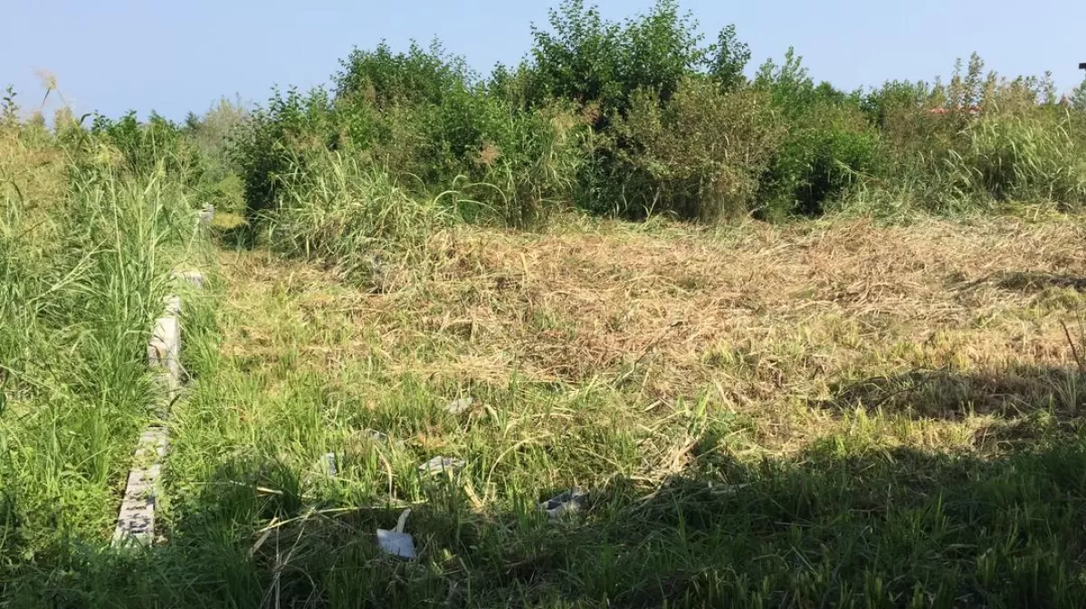 فروش 3000 متر زمین در نوشهر