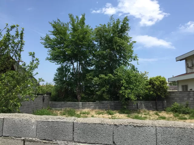 فروش 317 متر زمین در نوشهر