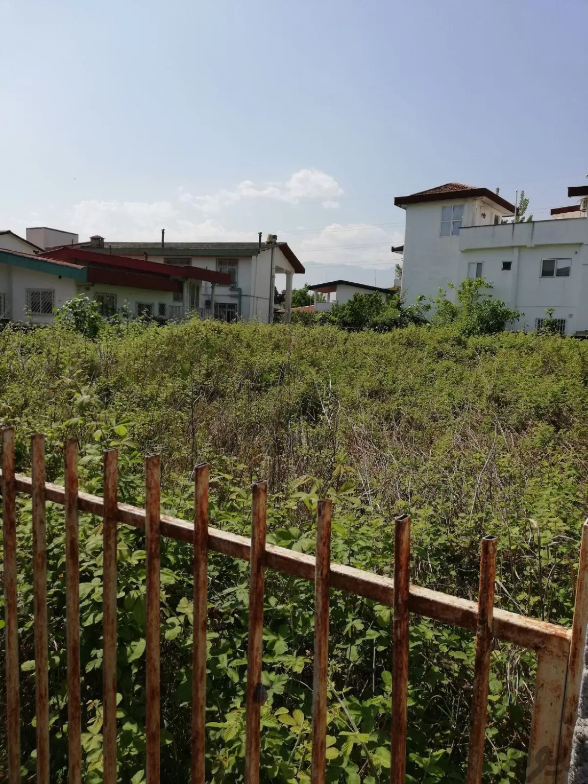 فروش 580 متر زمین در نوشهر