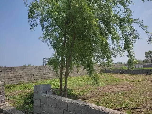 فروش 210 متر زمین در نوشهر