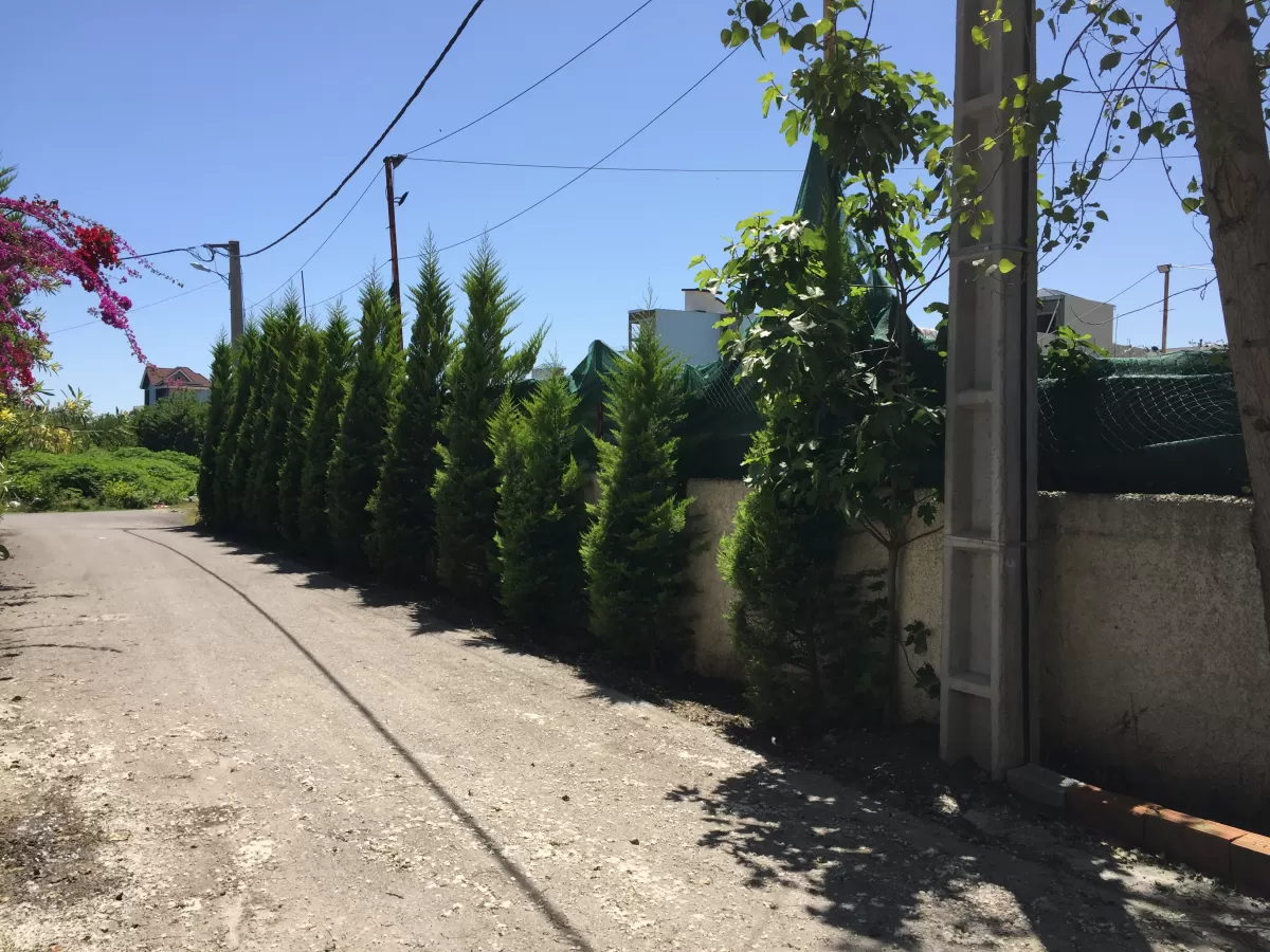 فروش 420 متر زمین در نوشهر