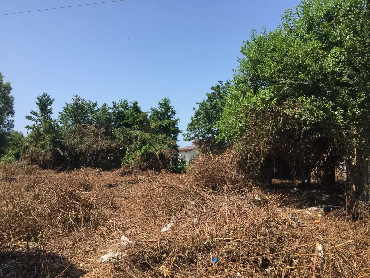 فروش 256 متر زمین در نوشهر