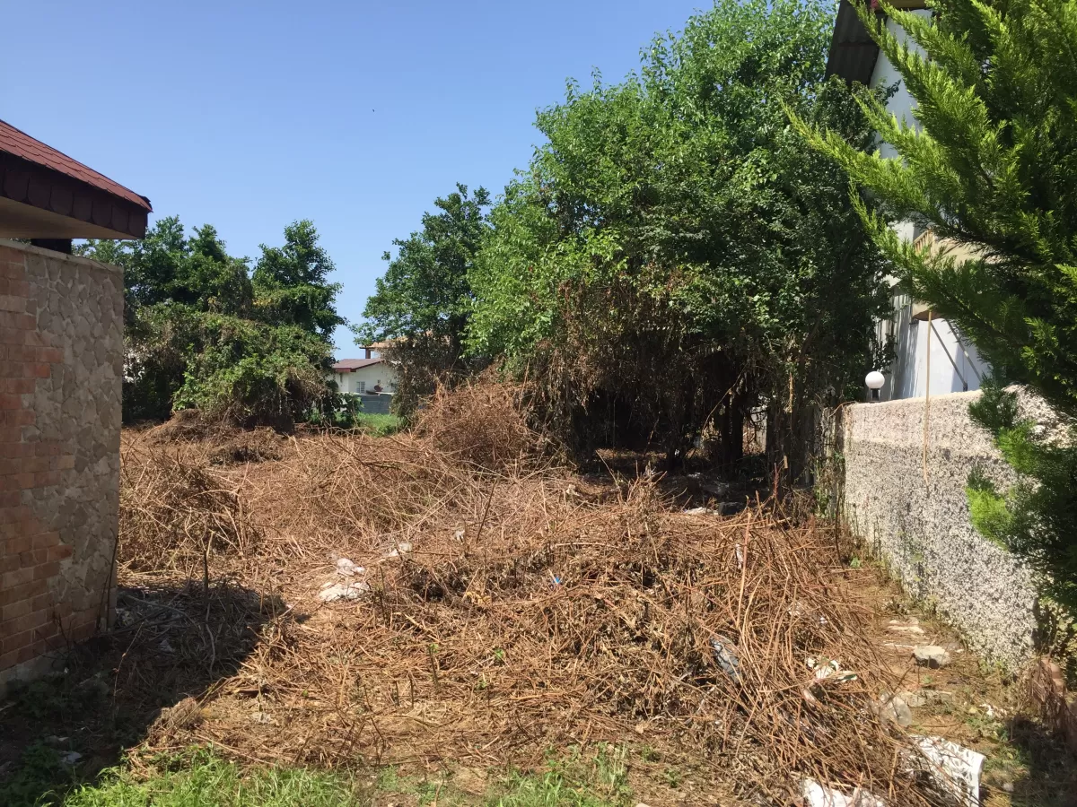 فروش 256 متر زمین در نوشهر