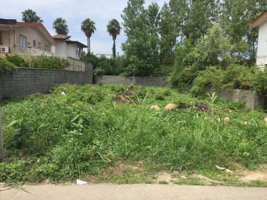 فروش 230 متر زمین در نوشهر