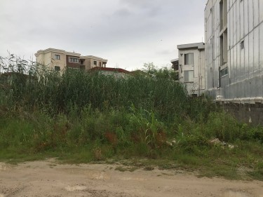 فروش 450 متر زمین در نوشهر