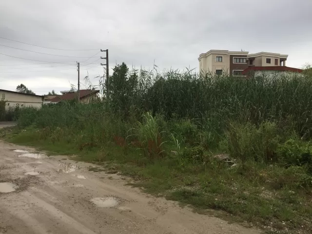 فروش 450 متر زمین در نوشهر