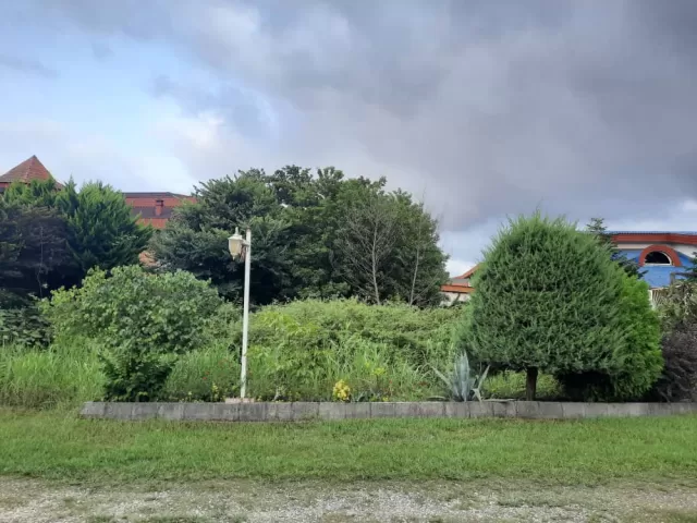 فروش 615 متر زمین شهرکی ، ساحلی در نوشهر