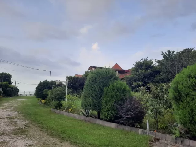 فروش 615 متر زمین شهرکی ، ساحلی در نوشهر