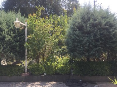 فروش 510 متر زمین ساحلی در...