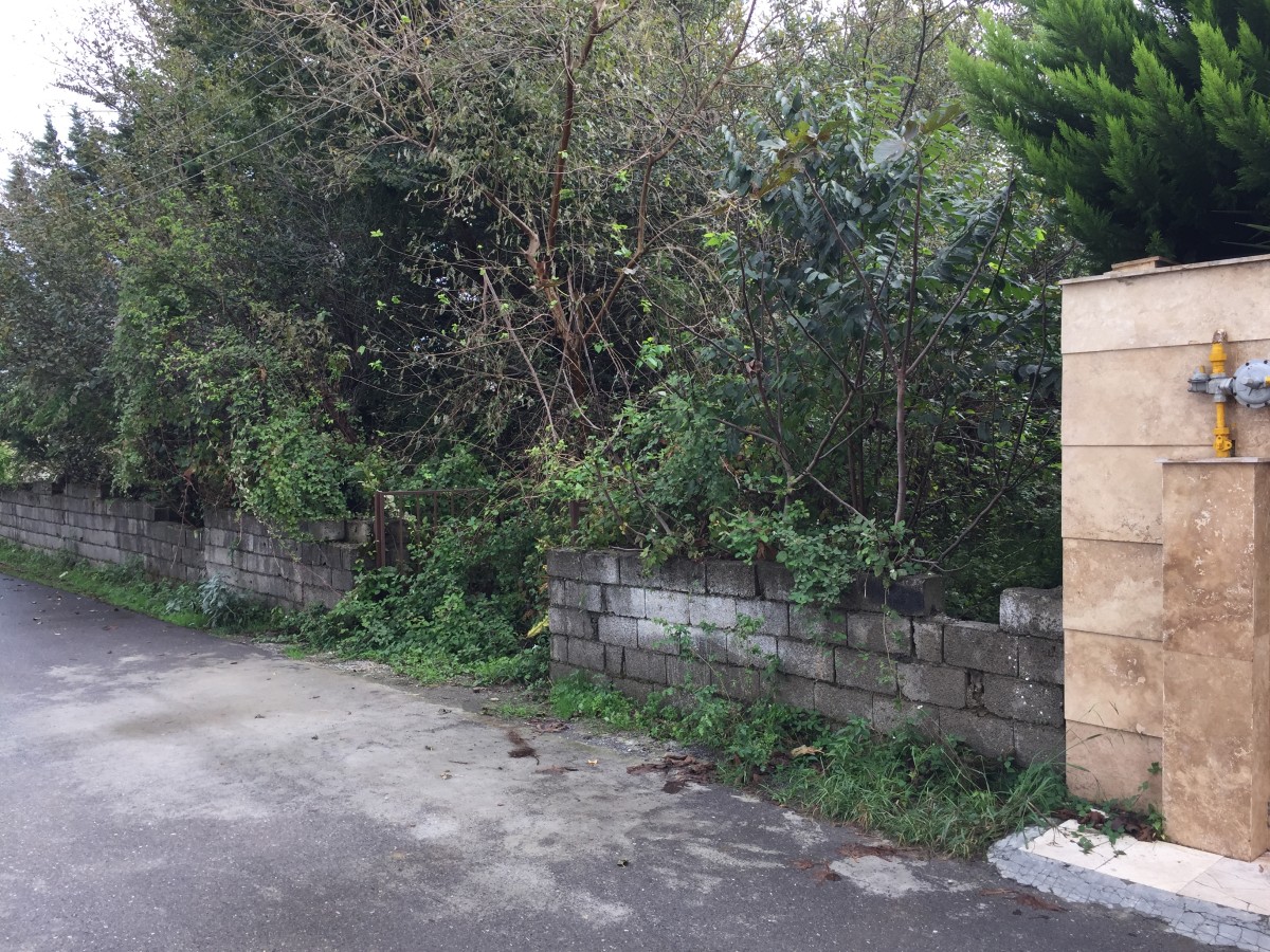 فروش 300 متر زمین در بهارستان شمالی نوشهر