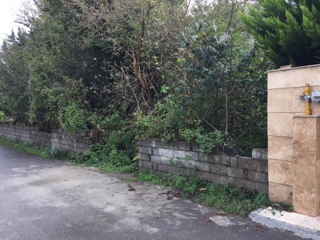 فروش 300 متر زمین در بهارستان شمالی نوشهر