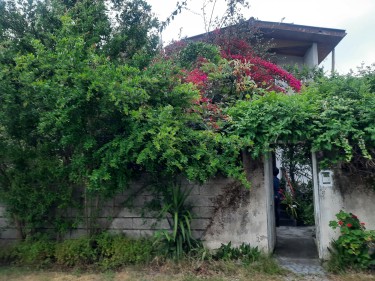 فروش 581 متر باغ ویلا 2...